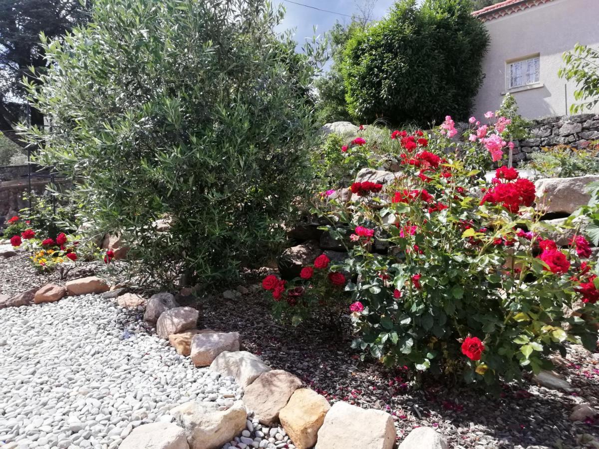 Kassanos "La Garenne" Bed & Breakfast Privas Exterior photo