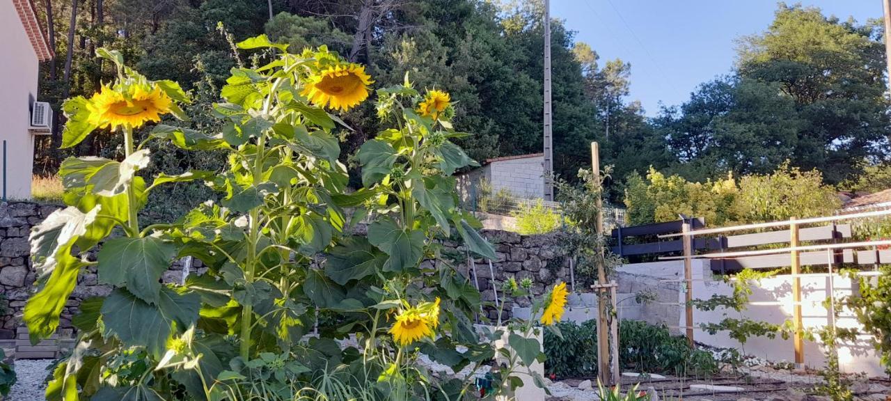 Kassanos "La Garenne" Bed & Breakfast Privas Exterior photo